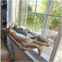 Bayram Cama Asilan Kedi Pencere Yatagi Minderi Fiyati