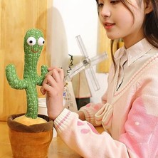Hong Store Kaktüs Peluş Oyuncak (Yurt Dışından)
