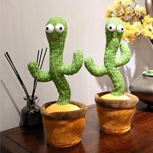 Hong Store Kaktüs Peluş Oyuncak (Yurt Dışından)