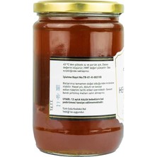 Hekimhan Bal Çam Balı (850 Gr) Salgı Balı