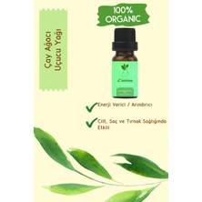 Lattimo Natural Çay Ağacı Uçucu Yağı 10 ml