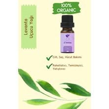Lattimo Natural Lavanta Uçucu Yağı 10 ml