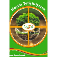 Ilpasol Toprak Düzenleyici Zeolit 50 kg 1-3 mm