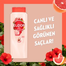 Elidor Saç Bakım Şampuanı Sağlıklı ve Canlı Görünen Saçlar By Afra Saraçoğlu 1 x 650 ml