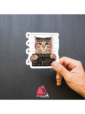 Art Pap Belalı Kedi Sticker