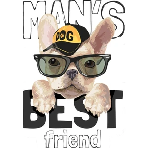 Art Pap Man's Best Friend Cat Sticker - Erkeklerin En Iyi Dostu Kedi Sticker