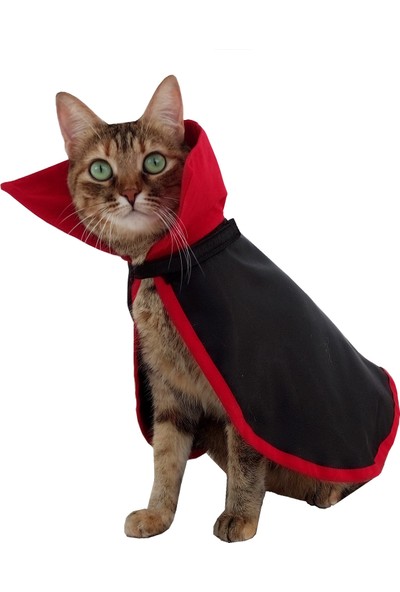 Stylie Halloween Temalı Drakula Kedi Kostümü Cadılar Bayramı Özel