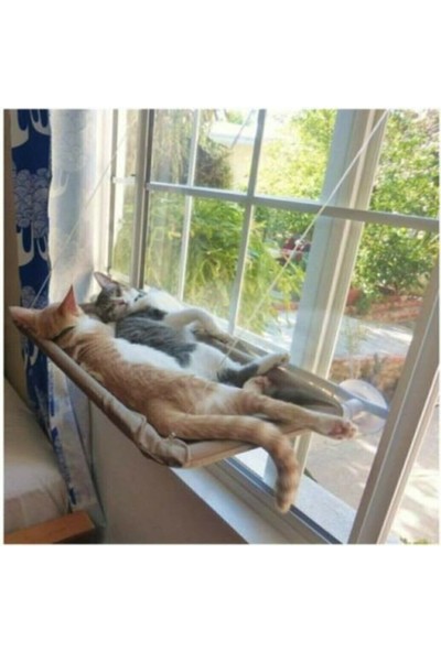 Bayram Cama Asılan Kedi Pencere Yatağı Minderi