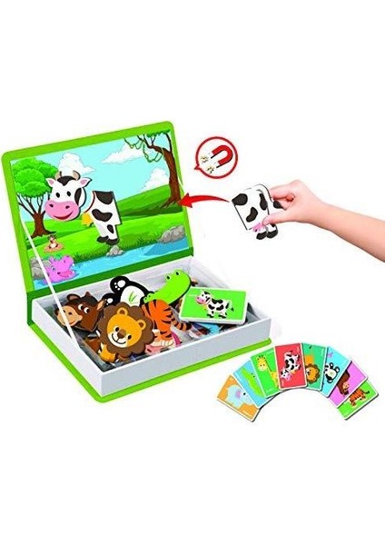 Diytoy, Manyetik Hayvan Tamamlama ve Manyetik Mevsimler, 2'li Set, Eğitici, Eğlenceli