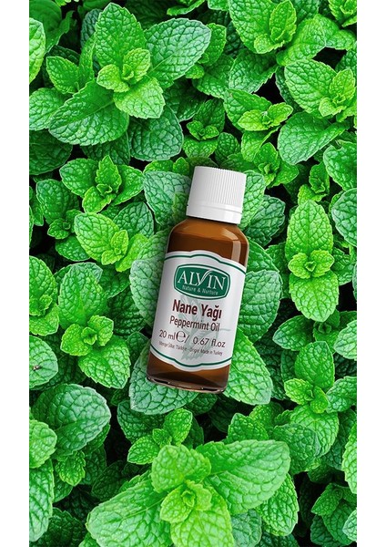 Nane Yağı (Peppermint Oil), Doğal, 20 ml