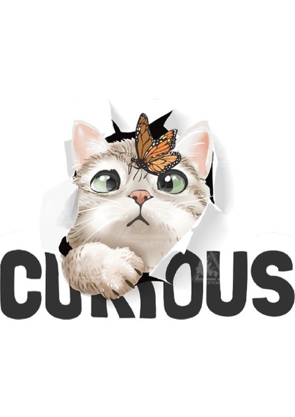 Meraklı Kedi Sticker
