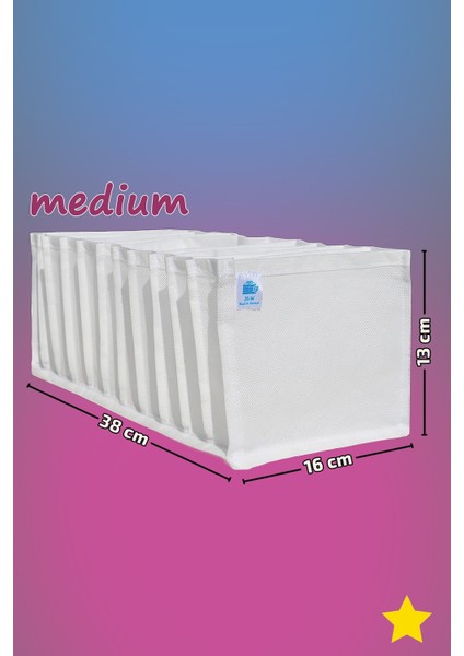 Akordiyon Organizer - M