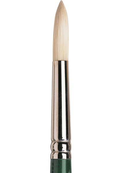 Winton Uzun Sap Yuvarlak Fırça N:10