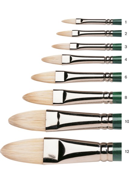 Winton Uzun Sap Kedi Dili Fırça N:8 fiyatları