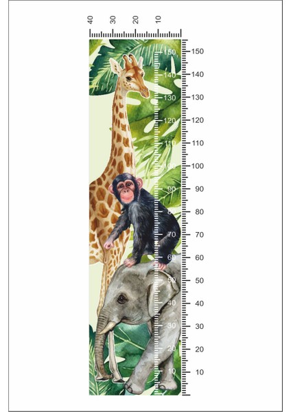 African Safari Duvar Kapı Boyölçer modelleri