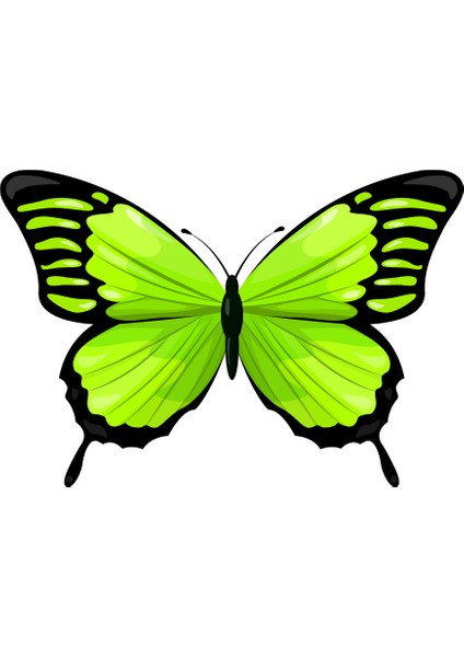 Kelebek Sticker - Yeşil