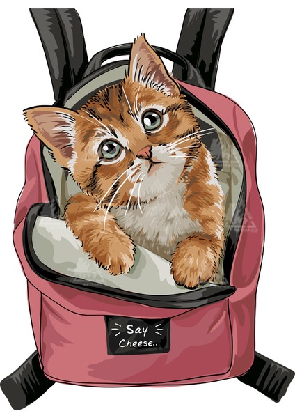 Say Cheese Cat Sticker