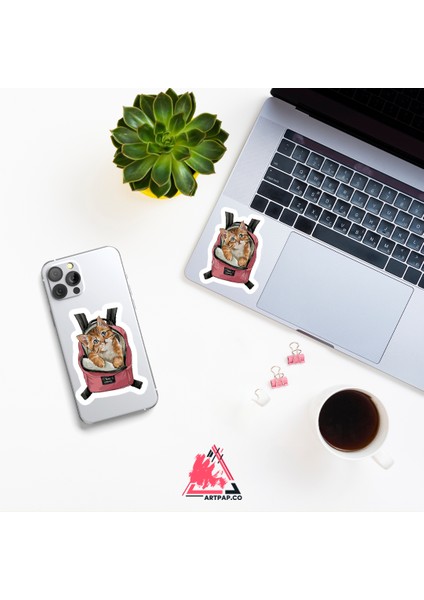Say Cheese Cat Sticker fırsatları