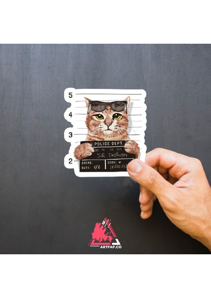 Belalı Kedi Sticker