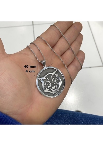 Kurt Başlı Büyük Madalyon 70 cm Uzun Zincirli Gümüş Kolye modelleri