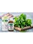 Adaçayı Yağı (Sage Oil), Doğal, 20 ml 5