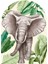 Oval Bohem Afrikan Elephant Duvar Stickerı 3