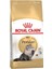 Persian Adult Kuru Kedi Maması - 2 Kg. 1