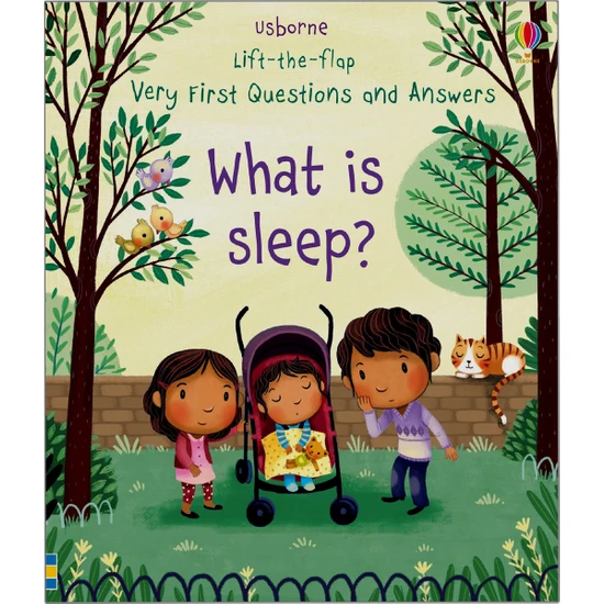 What Is Sleep? - Lift-The-Flap Very First Questions & Answers - Katie Daynes