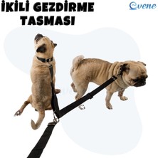 Evene Köpek Gezdirme Tasması Ayarlanabilir Boyun Göğüs Tasma