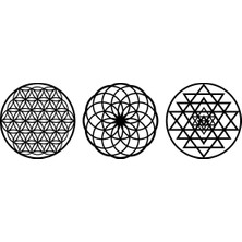 Numa Concept Ahşap Yaşam Çiçeği Sri Yantra Torus Nefesi Üçlü Dekoratif Tablo Duvar Süsü Shri Yantra