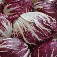 Tacirdepoticaret Italyan Hindiba TOHUMU(100 Tohum)