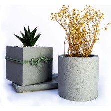 Mini Stil 2'li Beton Efekt Serisi Set Saksıda Haworthia Sukulent