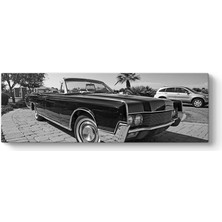 Tabloshop Siyah Beyaz Araba Tablosu