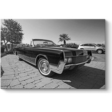 Tabloshop Siyah Beyaz Araba Tablosu