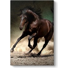 Tabloshop Yabani At Tablosu