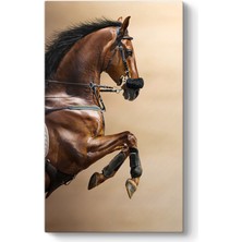 Tabloshop Şahlanan Kahverengi At