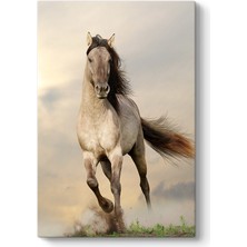 Tabloshop Açık Kahve At