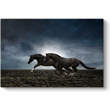 Tabloshop Koşan Siyah Atlar