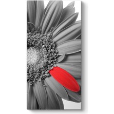 Tabloshop Siyah Beyaz Gerbera Tablosu