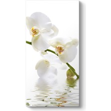 Tabloshop Orkide Çiçeği Tablosu