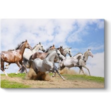 Tabloshop Koşan Atlar Tablosu