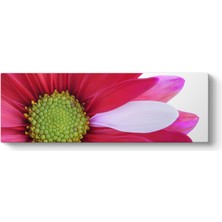 Tabloshop Flower Close Tablosu