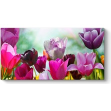 Tabloshop Renkli Çiçekler Tablosu