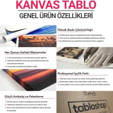 Tabloshop Sade Nilüfer Çiçeği Tablosu