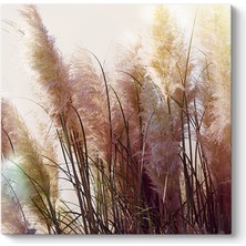 Tabloshop Soft Pampas Tablosu