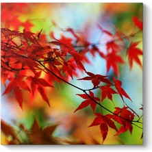 Tabloshop Sybilla Kanvas Tablosu