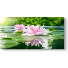 Tabloshop Soft Nilüfer Çiçekleri Panorama Tablo