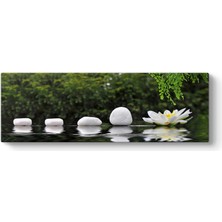 Tabloshop Nilüfer Çiçeği ve Taşlar Panorama Tablo