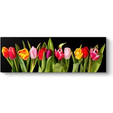 Tabloshop Bahar Laleleri Panorama Tablo