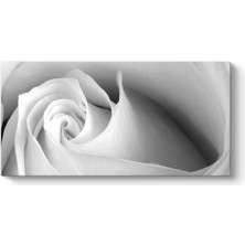 Tabloshop White Rose Tablosu